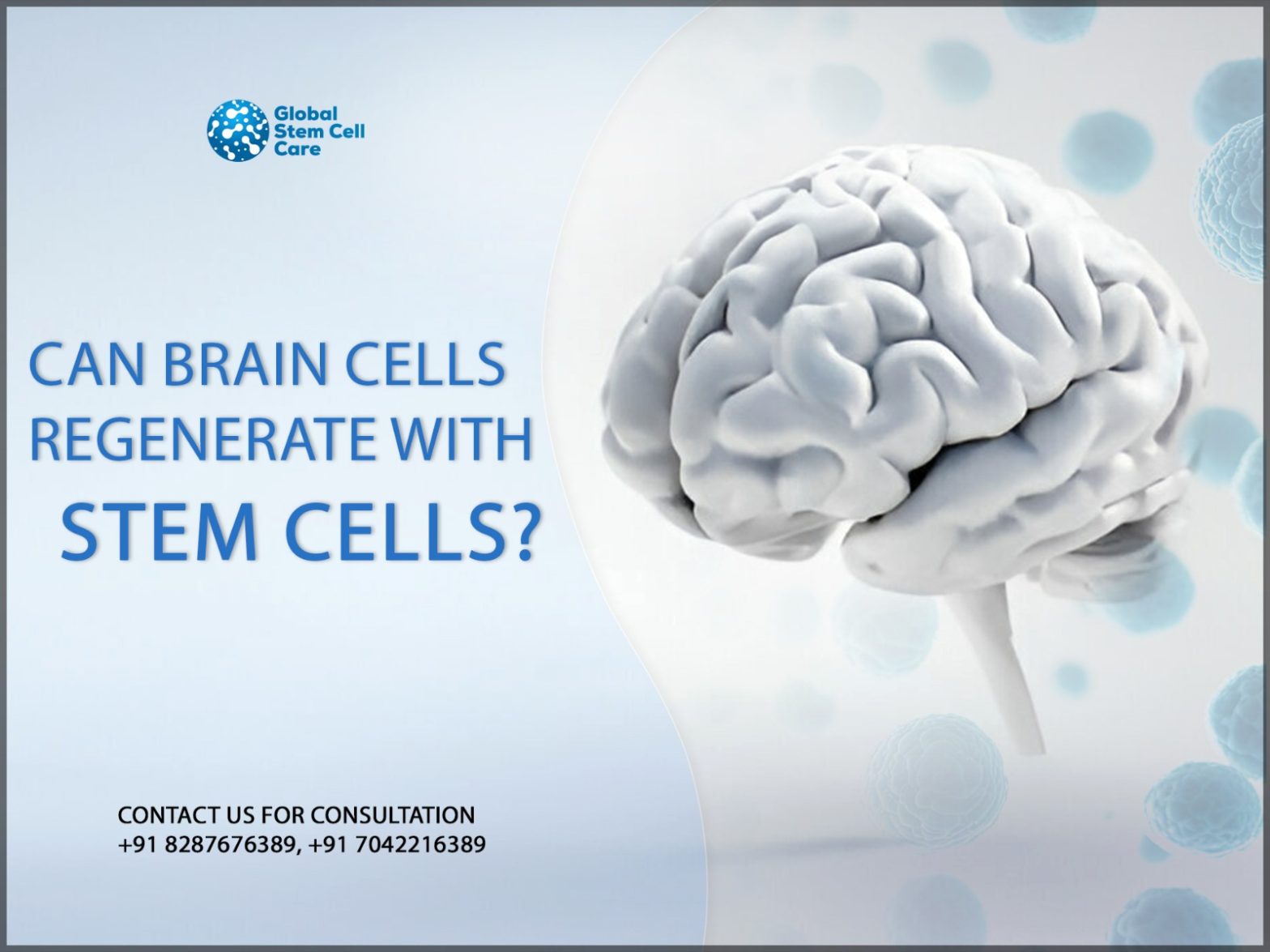 Can brain cells regenerate with stem cells?