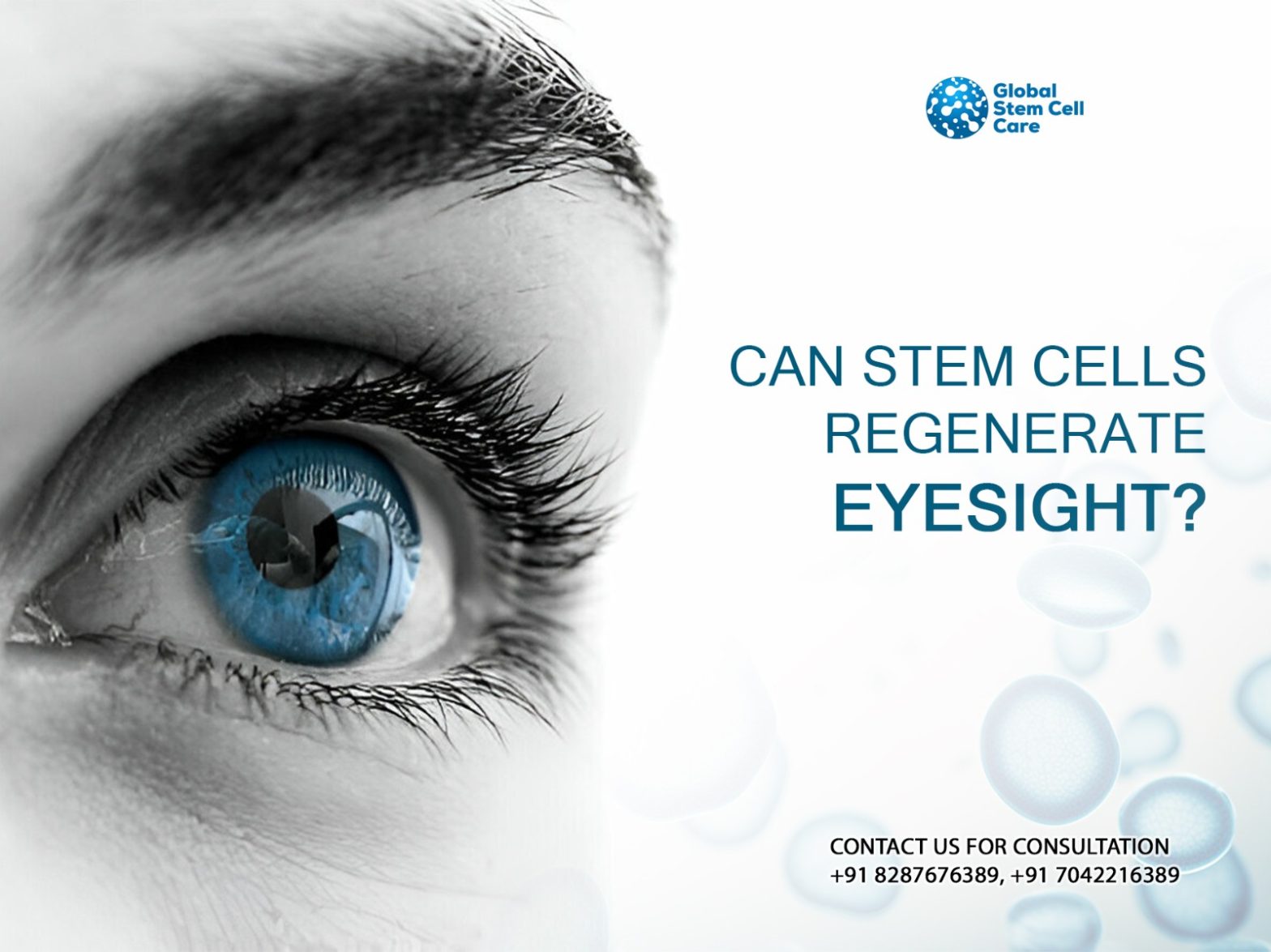 stem cells regenerate eyesight