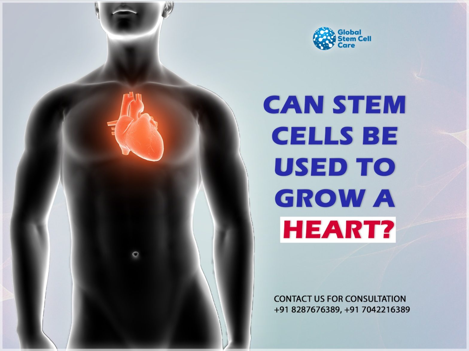 Can Stem Cells Be Used to Treat Heart Disease?