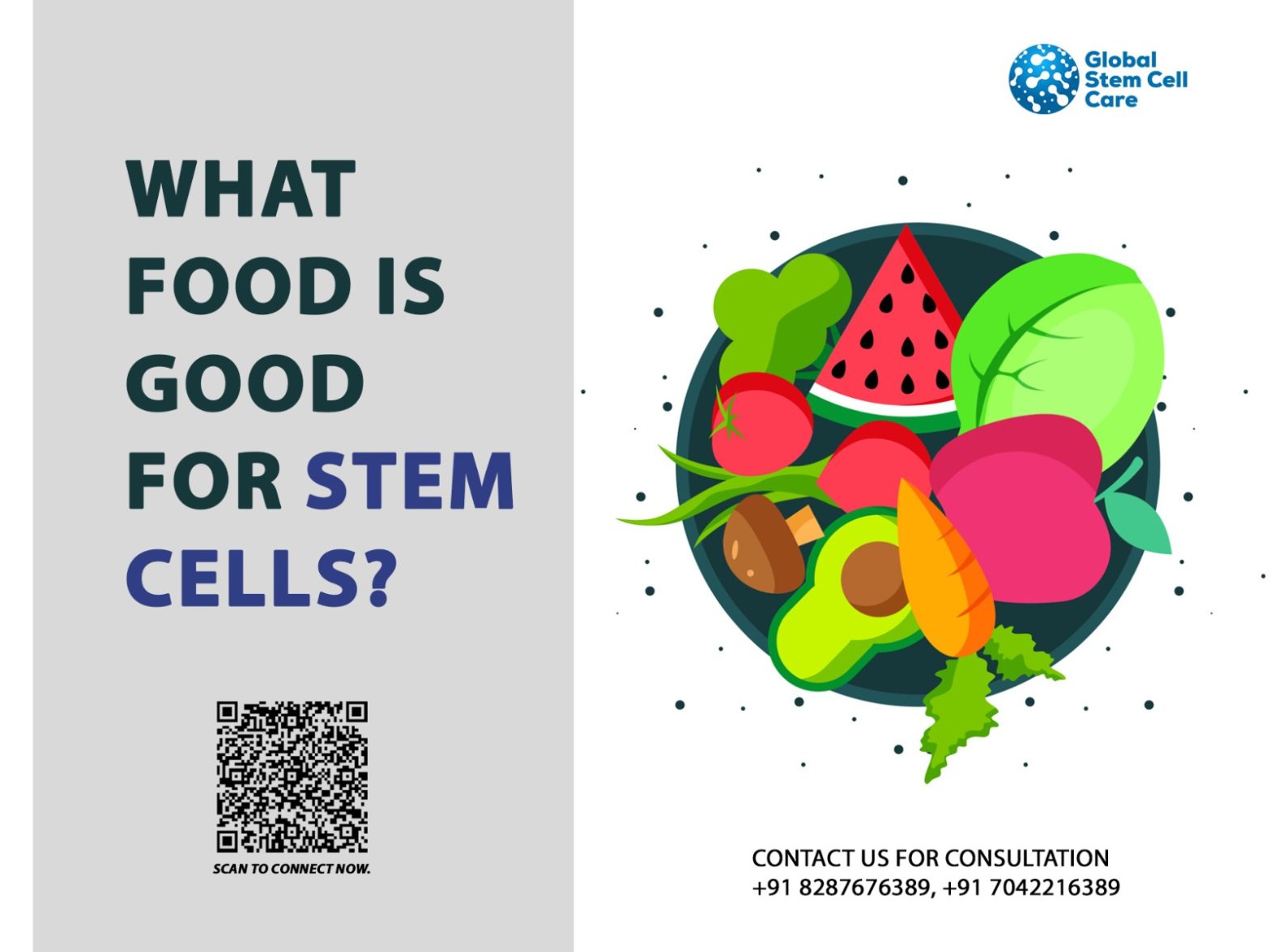 What Food is Good for Stem Cells?