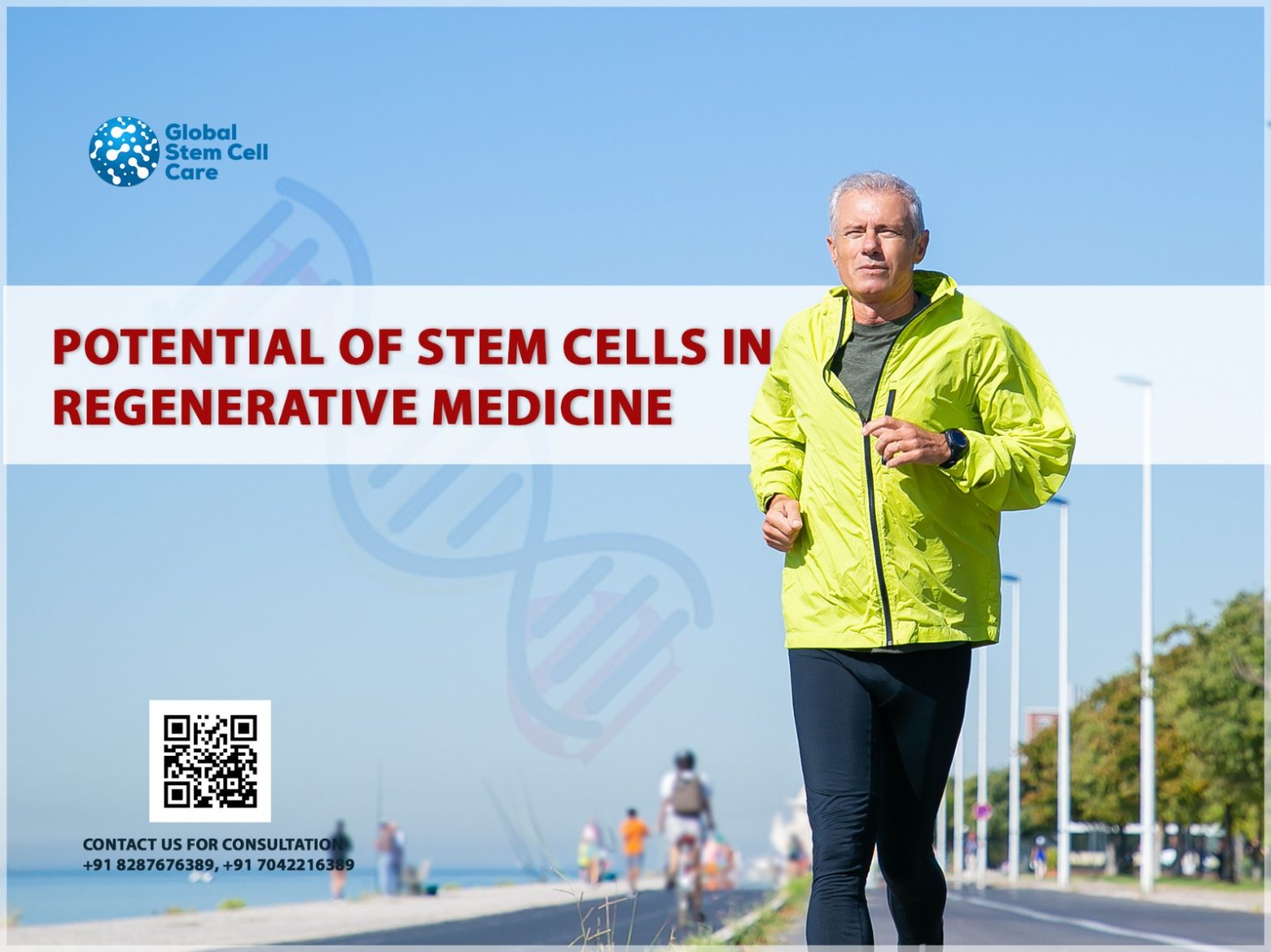 Potential of Stem Cells in Regenerative Medicine