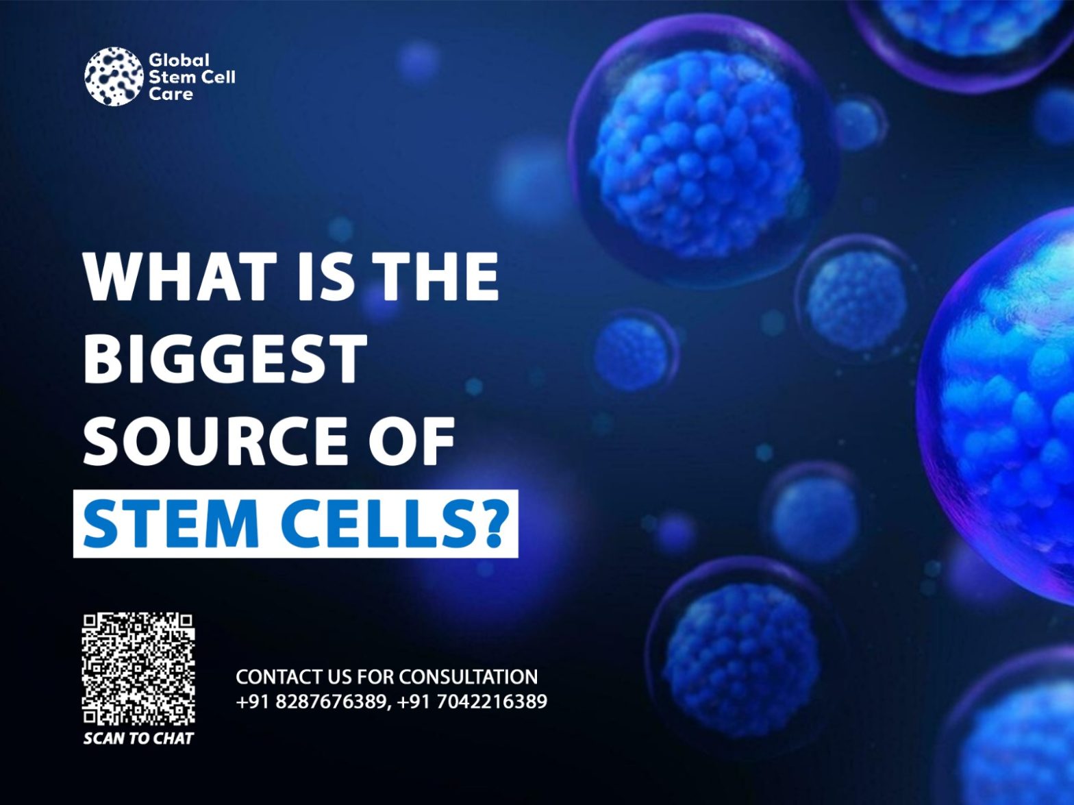 What is the Biggest Source of Stem Cells?